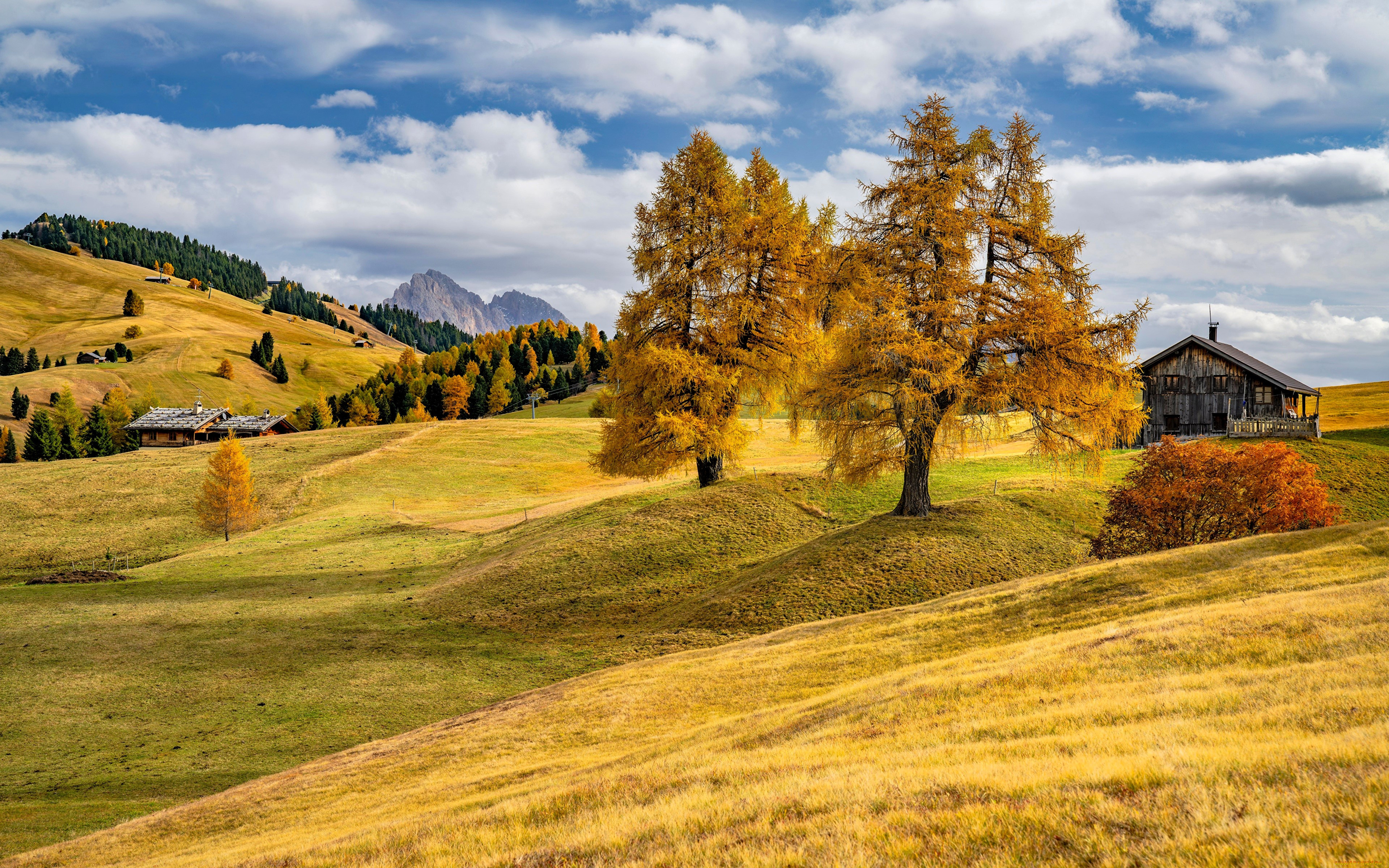 ������, ����������,  ���������, ����, ���, �����, �������, ��������, ����